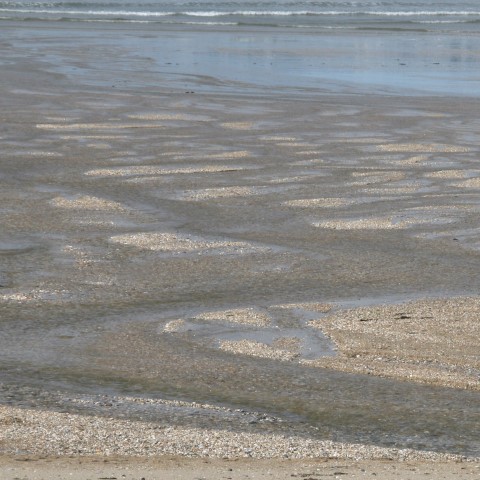 c08071: semi-abstract photo (beach with meandering runnels) by Ewart Shaw