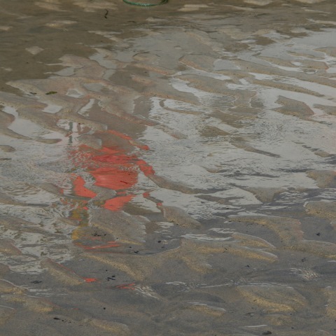 c08092: semi-abstract photo (reflection of float on beach) by Ewart Shaw