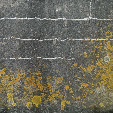 c08178: semi-abstract photo (wall with cracks and lichen) by Ewart Shaw