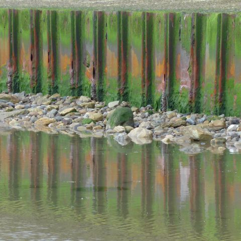 d20429: semi-abstract photo (fence on beach covered with rust and seaweed, with reflection) by Ewart Shaw