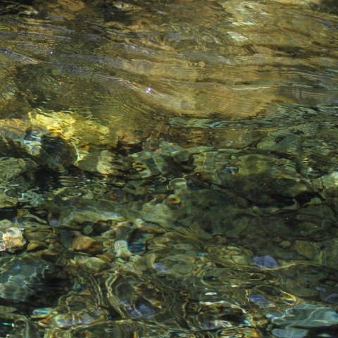 p3117: semi-abstract photo (stones in the bed of a clear stream) by Ewart Shaw
