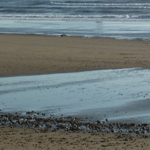 t10370: semi-abstract photo (Scarborough beach) by Ewart Shaw