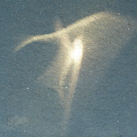 t20329: semi-abstract photo (dancing reflection on Scarborough pavement) by Ewart Shaw