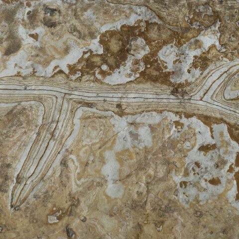 t30363: semi-abstract photo (eroded rock on Scarborough beach) by Ewart Shaw